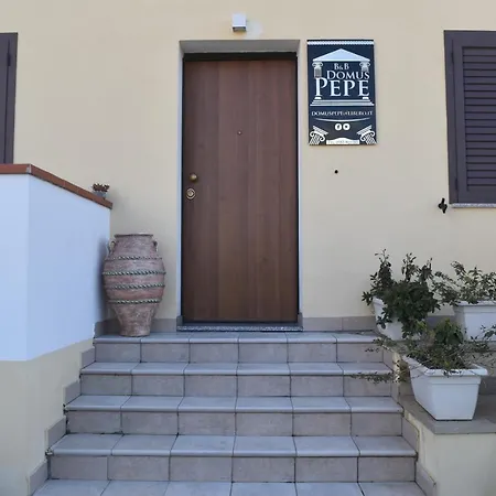 Domus Pepe