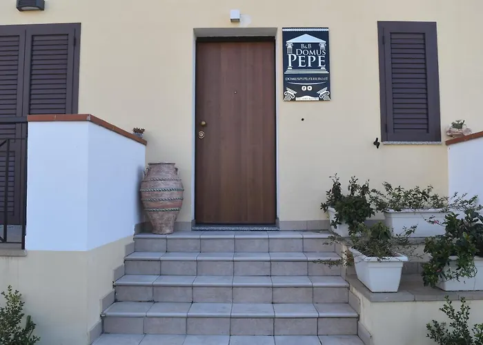 Domus Pepe